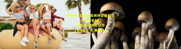 экстази Богородицк