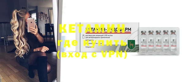 шишки Бородино