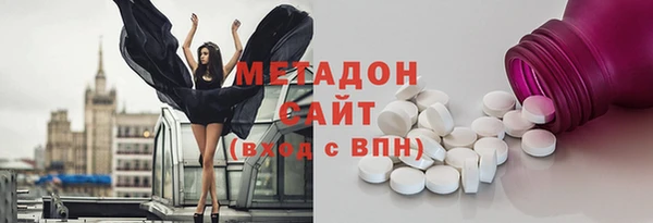 шишки Бородино
