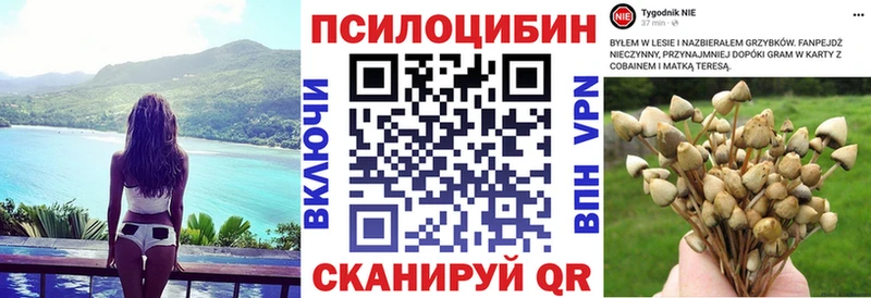 Галлюциногенные грибы мухоморы  купить наркоту  Горно-Алтайск 